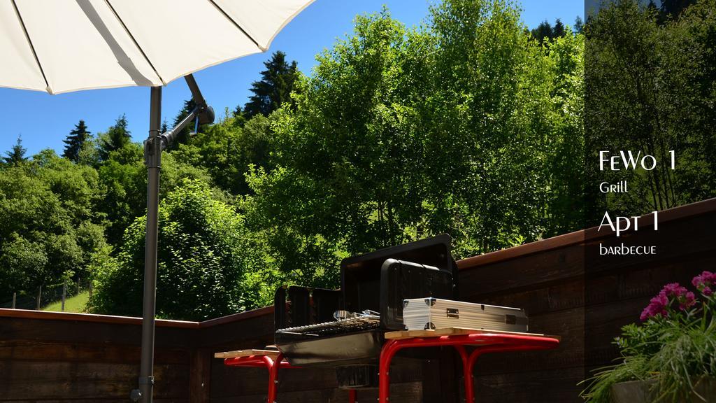 Ferienhaus Auschmiede Hollersbach im Pinzgau Exterior photo